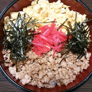 彩りあざやか！そぼろ丼